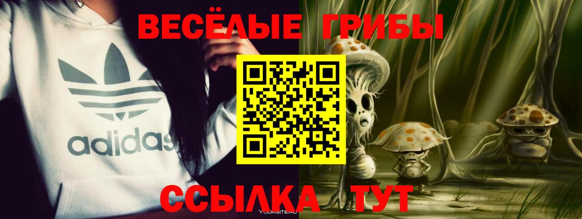 Ачинск  купить наркотики сайты  Вход с VPN  Галлюциногенные грибы Magic Shrooms 